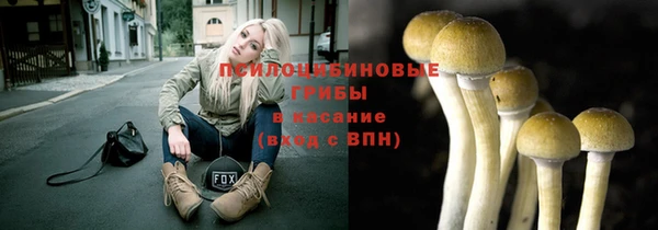 СК Сясьстрой