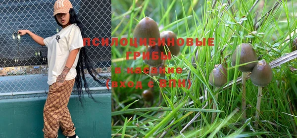 СК Сясьстрой